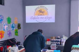 ΑΠΟΚΡΙΑΤΙΚΗ ΦΙΕΣΤΑ 2025<br>Τα λογότυπα των χορηγών προβάλλονταν με προτζέκτορα στον κεντρικό χώρο της εκδήλωσης, καθόλη τη διάρκειά της.